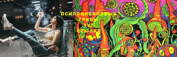 прущая мука Аркадак