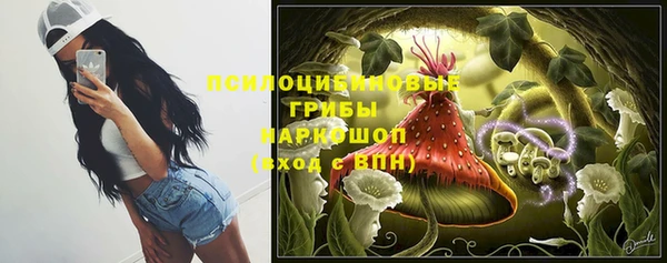 прущая мука Аркадак
