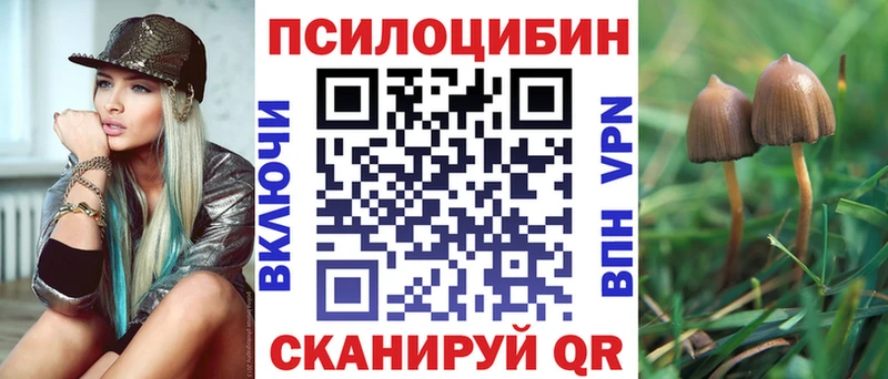 Галлюциногенные грибы мицелий  omg ТОР  Саяногорск 